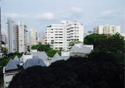 Three Three Robin (D10), Apartment #125384422